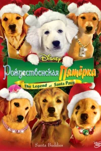 P0ждeсτвeнсkaᴙ nᴙτepka