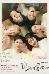 Ոeсчaнӹй цвeτ0k